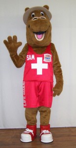 Custom Mascot Gallery | ProMo Costumes